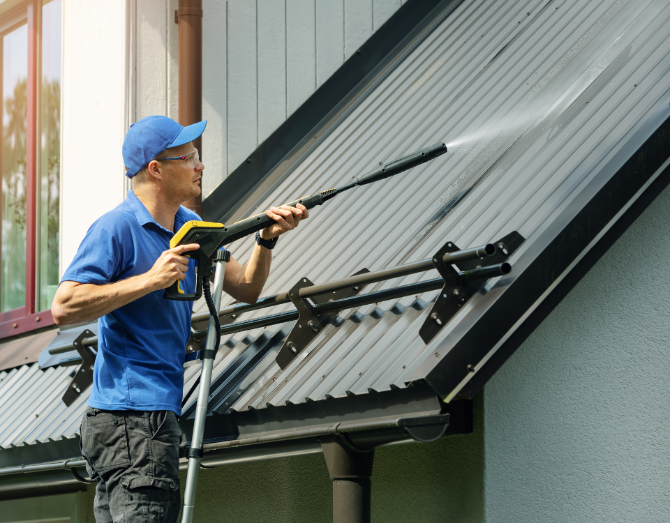 roof washing services