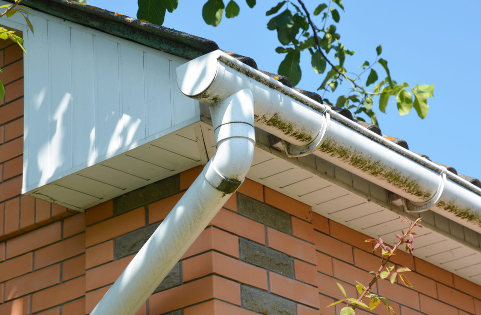 gutter maintenance