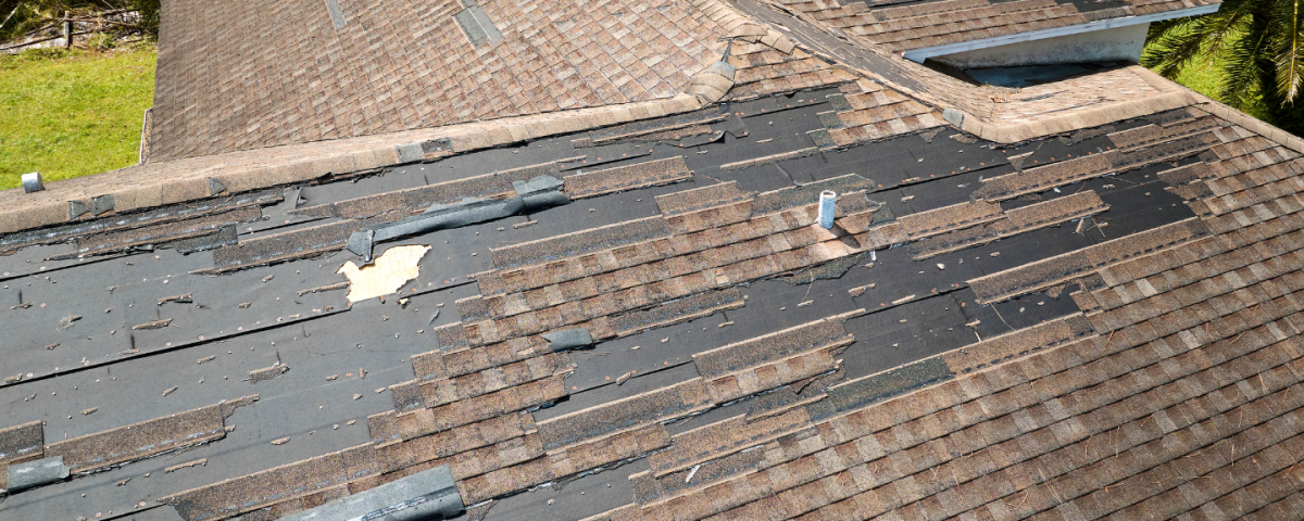 what does wind damage look like on a roof