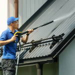 roof-washing-services